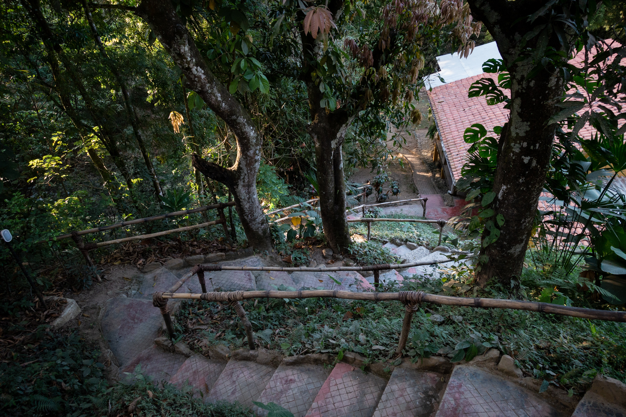 Minca Finca Hostal Bolivar Casa Mango stairs down to Casa Maracuya